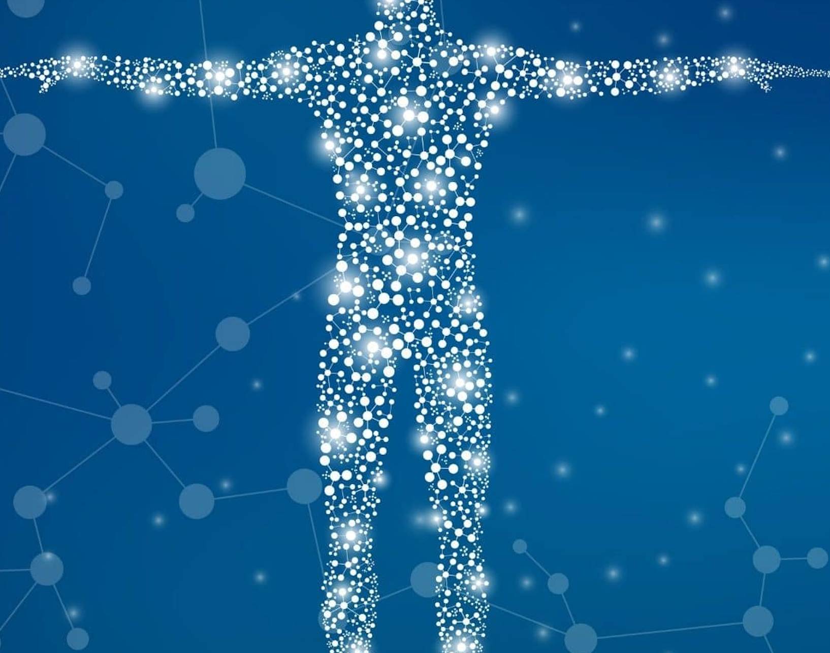 Systemet Det endocannabinoida systemet – Canavita.se